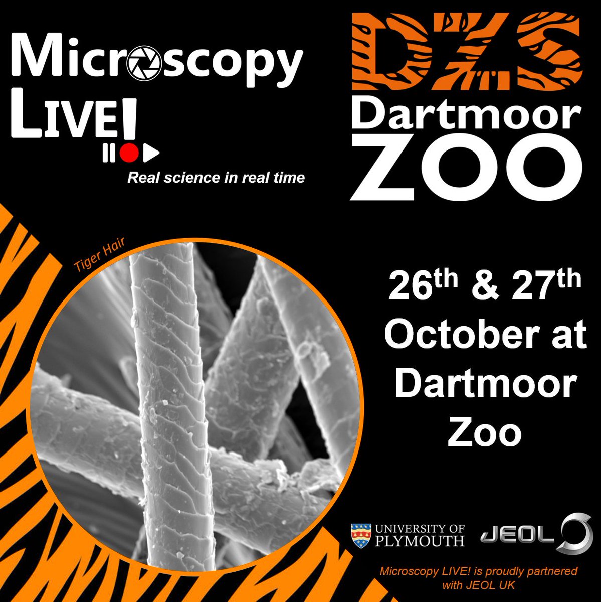EMC_PlymUni's tweet photo. Need something to do in the October half-term? Come and see #MicroscopyLIVE at Dartmoor Zoo! We'll be on site with our JEOL NeoScope SEM for this chance to get an in-depth look at plenty of unique animal items! Info: https://t.co/5CP3mplZhU
#MicroscopyMonday #ElectronMicroscopy https://t.co/DL4EjWfjBj