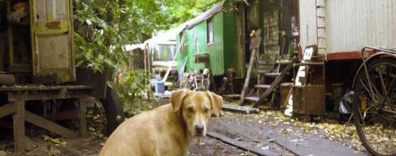 Ausstellung! Hamburg vor 20 Jahren - am 4.11.2002 wurde auf Anordnung des Rechtspopulisten Schill der Bauwagenplatz Bambule geräumt. Die folgenden Kämpfe&amp;Kulturaktionen zeigt eine Ausstellung im Centrosociale vom 5.11. - 13.11.22 #Bambule #karo4tel #karoviertel
