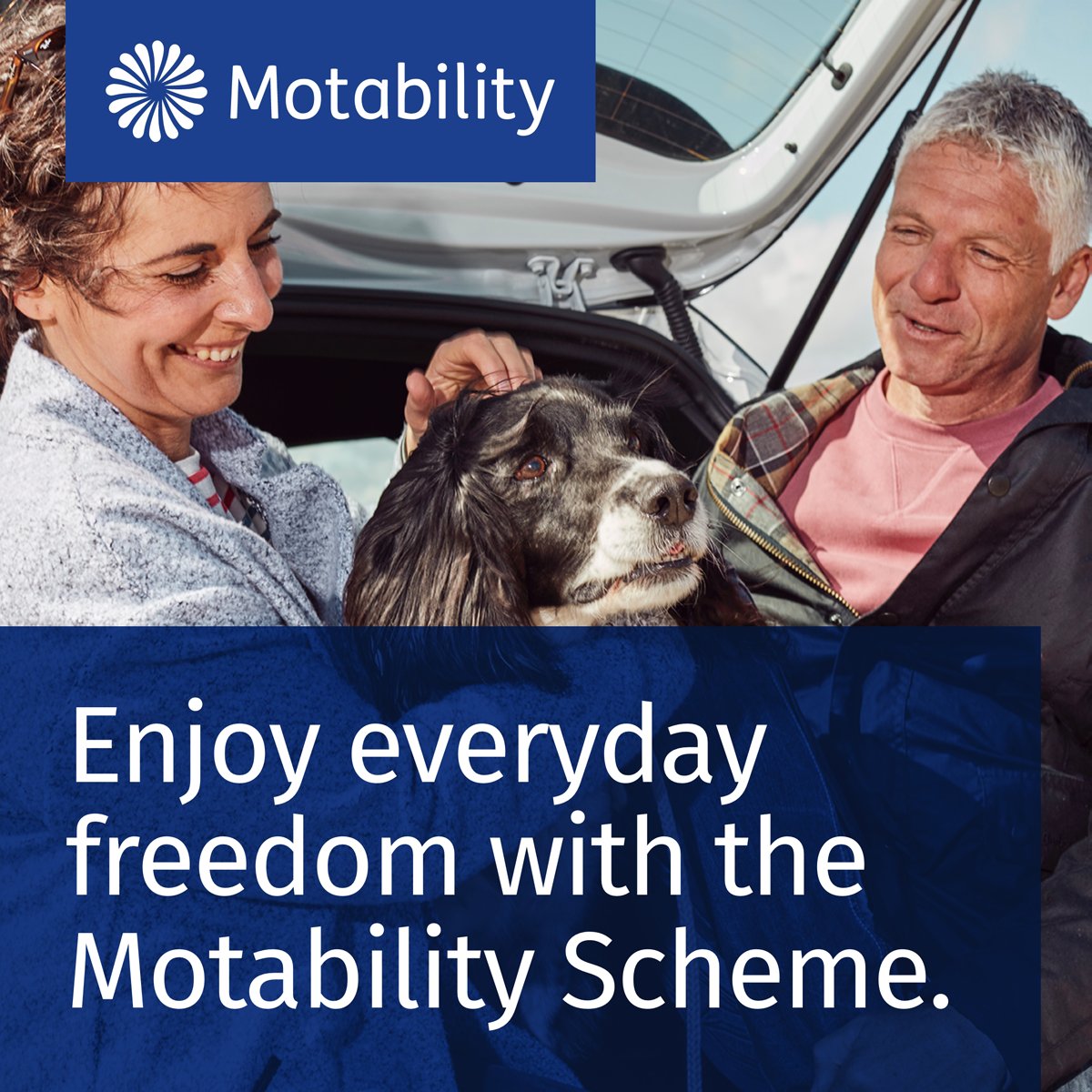 LingsMotorGroup's tweet photo. Hyundai offers a fantastic range of vehicles on the Motability Scheme! 💙

To find your next car why not book an appointment with one of our Motability specialists to find the right fit for you! 🌟

📞 01502 537444
💻 https://t.co/VKlSFPC4Xf

#lingshyundai #motability https://t.co/eB2b8vvVkq