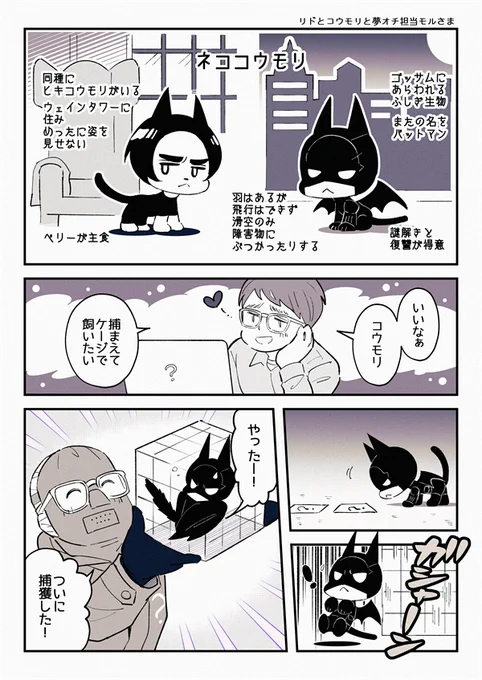 リドと🦇と夢オチ担当モルさま 