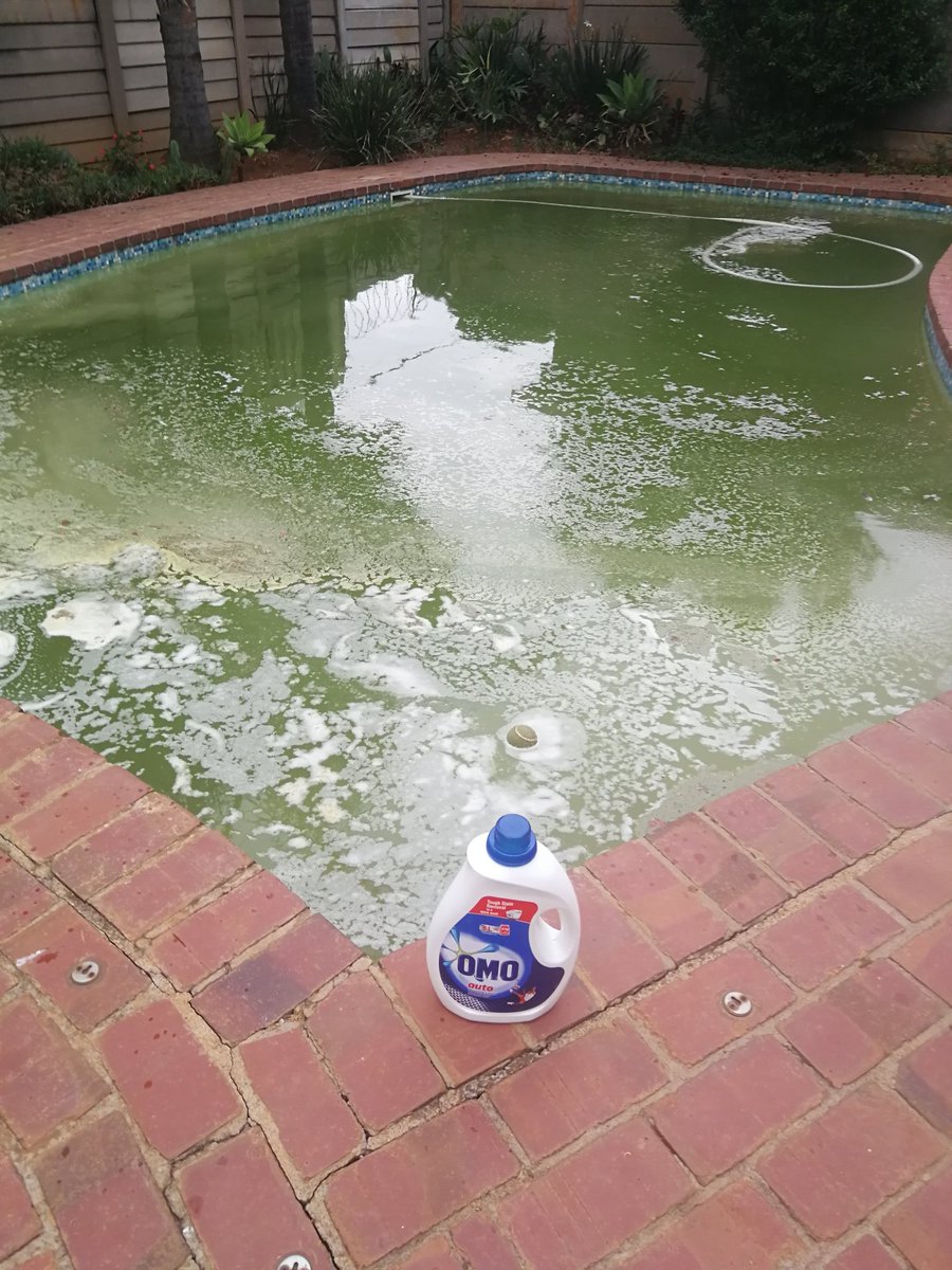 YteWabbit's tweet photo. @947 and @PoolXpertSA I need help. Omo isn't working 😜😩#poolxpert https://t.co/0NT6qwfLjK