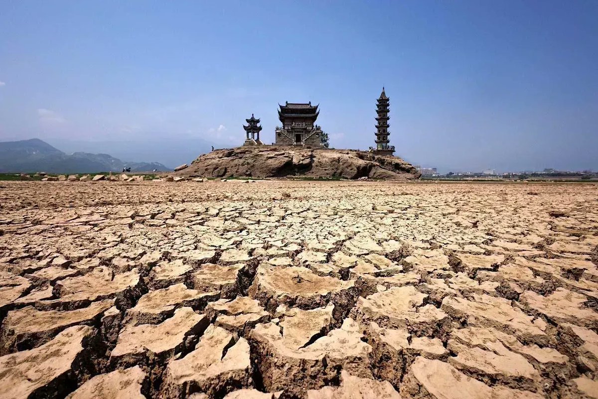 Climate change made 2022’s northern-hemisphere droughts ‘at least 20 times’ more likely | @AyeshaTandon w/ comment from @frediotto Dominik Schumacher @mkvaalst Read: bit.ly/3SvZ1Gb