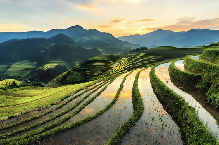 Albertus Pamungkas tweet media