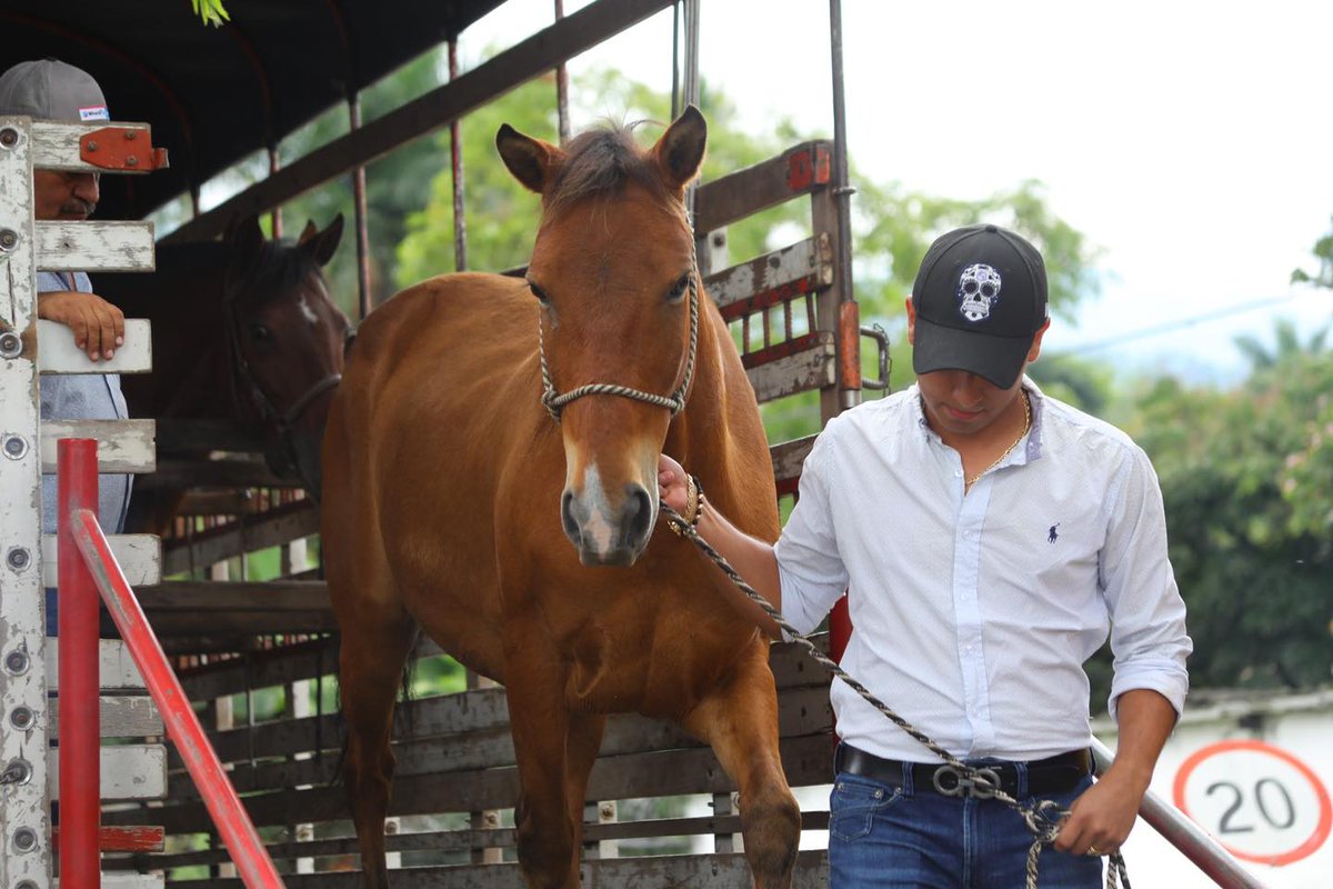 AlcFusagasuga's tweet photo. Vivimos la Cabalgata Rural que abrió la programación de #EXPOFUSA 2022.
Un recorrido por las principales vías de Chinauta donde por primera vez en su historia, se desarrolló con las condiciones necesarias para el cuidado de cada animal.
¡Bienvenidos a #ExpoFusa 2022! https://t.co/i3QOaT8nmN