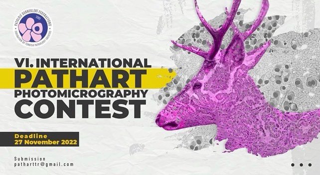 The time has come! Send your #pathart photos and join us in this year’s contest 🍀🔬🎞 
To read the submission rules: turkjpath.org/contest_2022_r…