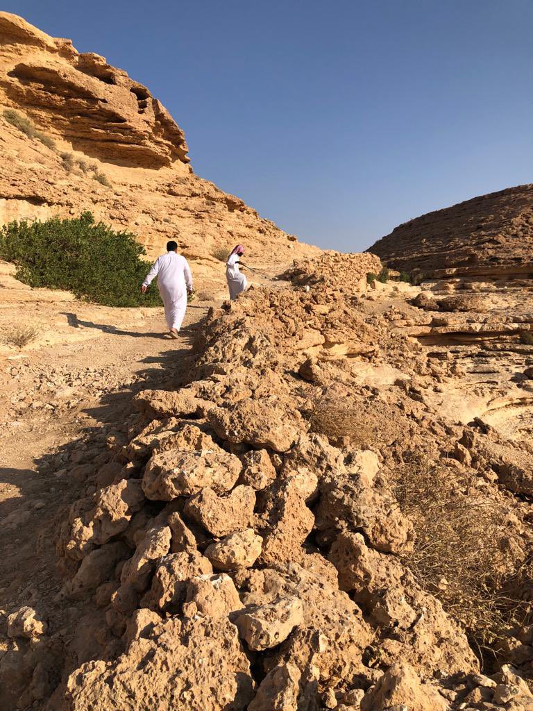 ericlac83's tweet photo. PLANT A SMILE. #plantations #trees. Last weekend #FAO and #NCVC #SaudiArabia plant 600 trees in the #ThadiqNationalPark in #Thadiq with visiting an historic camel trail restored. Thank you very much everybody. https://t.co/WfTKLxThpG