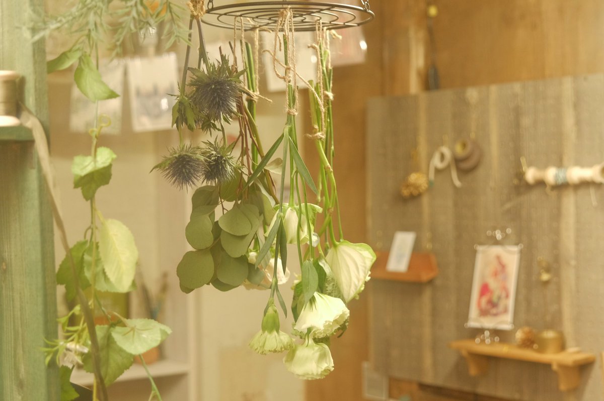 bolt13yaeba's tweet photo. いただいたお花は枯れない内にドライフラワーにします🌿✨
たくさんお花をいただいたので少しずつドライフラワーにするのが楽しみ✨
#photostudio
#taruto https://t.co/WJXmbHVWeg