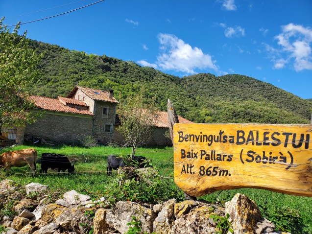 Habicoop_FCHC's tweet photo. El projecte d'#HabitatgeCooperatiu #Copsant ha iniciat una campanya de @goteofunding per rehabilitar el paller de Casa Cossant de Balestui que servirà per promoure l'accés a la terra i les activitats ambientals i culturals al #Pallars.
https://t.co/LYhI3aHjyH https://t.co/HIhFUl2cpp