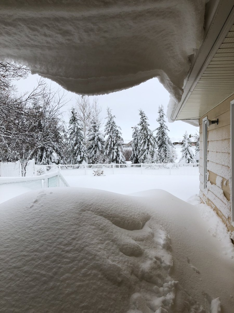 Kirk Morrison tweet media