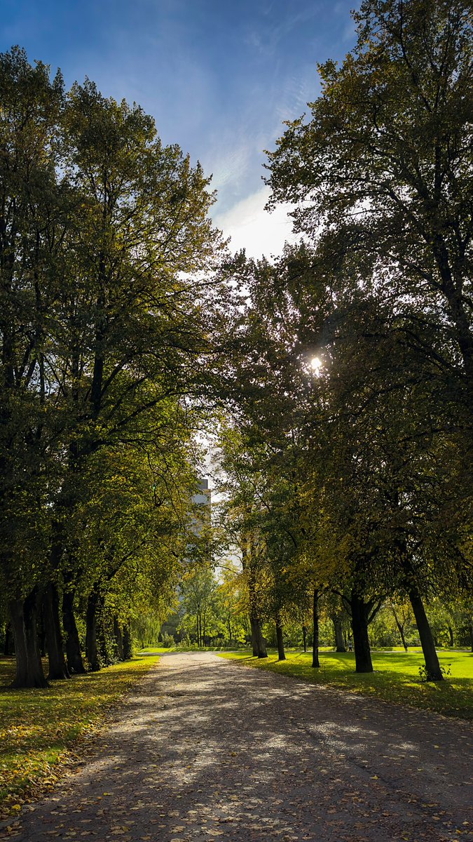 jayanth__gowda's tweet photo. Ray of Hope 
Shot on @Apple 
#shotoniphone #apple #Glasgow https://t.co/jZG9W3yNr0