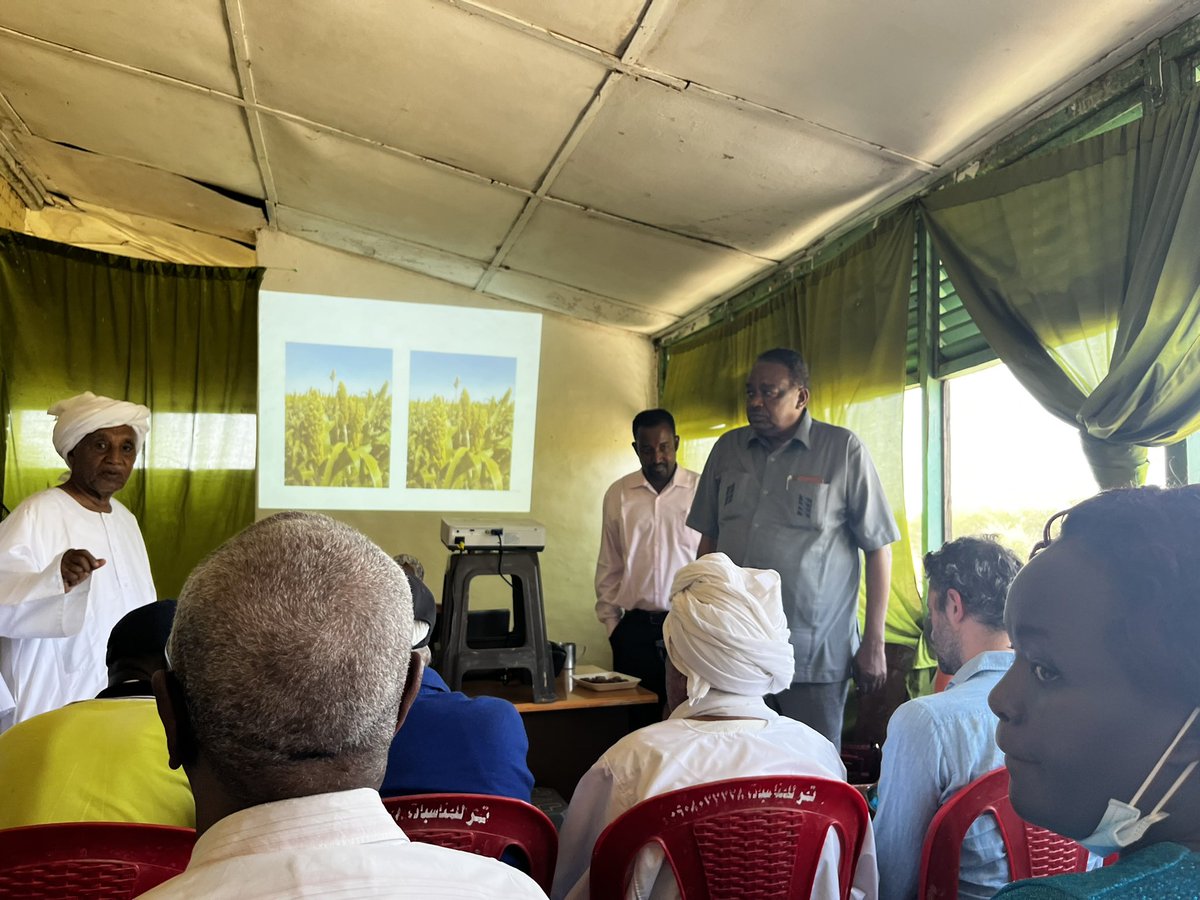 WaterResearchC1's tweet photo. Photos from yesterday’s visit to the field and The Farmers Training Center at Gezira Scheme
@WatDev1 
@ASARECA https://t.co/osLAarci5d