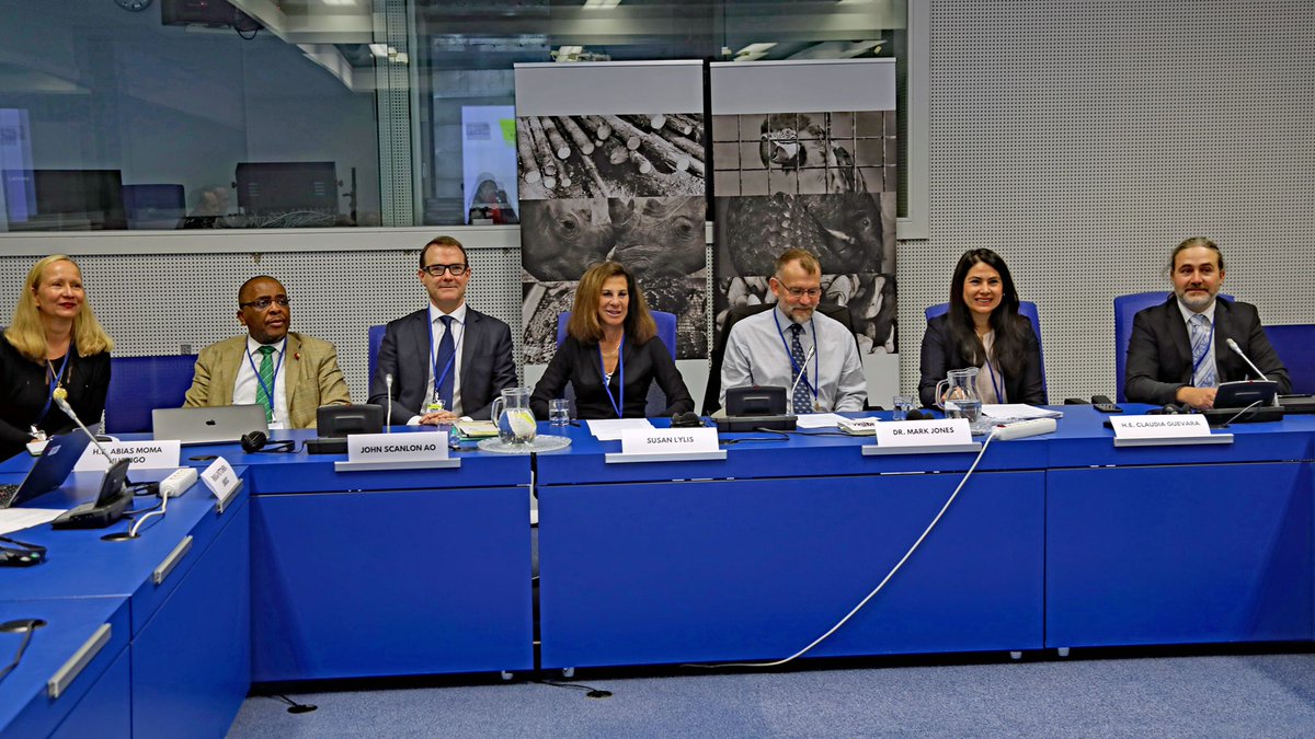 dkachelriess1's tweet photo. Great honour last week at @UNODC_UNTOC #CoP11 to talk about how a #wildlifecrime protocal under #UNTOC could contribute to combatting #IUUFishing at a side event co-hosted by the Initiative to #EndWildlifeCrime, #Gabon &amp; @PeruEnAustria. Recording here: https://t.co/d4UcFiYEtu https://t.co/qLT9PGHKhQ
