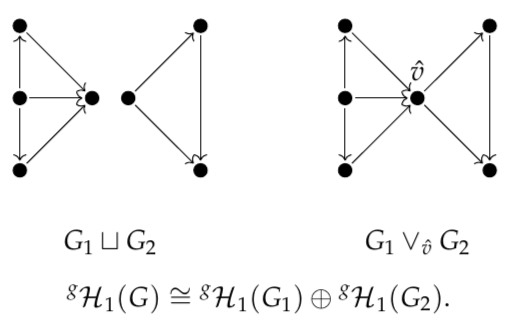 We also show that GrPPH decomposes as a direct sum when G decomposes as a disjoint union or wedge sum. This is a boon for interpretation and computation: if an edge or a vertex belongs to no simple circuit, we can delete it without affecting GrPPH.