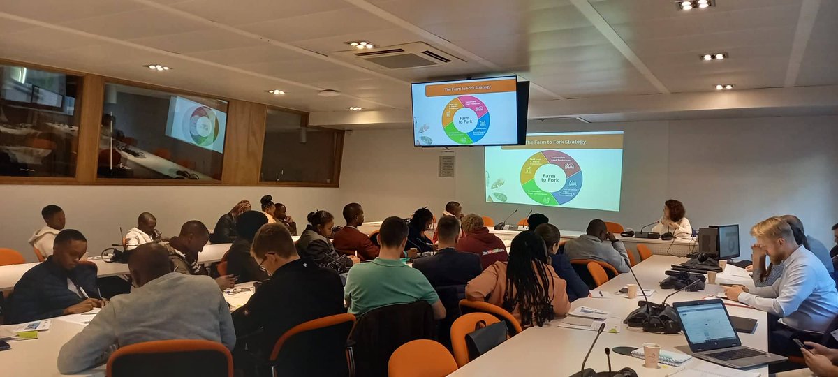 AliceMinichini's tweet photo. Today in Brussels for the @_CEJA_ working group and @sacau_media African young leaders programme to discuss important EU developments 🎊 https://t.co/qfwcVrT3iB