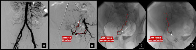 Elena Serrano tweet media