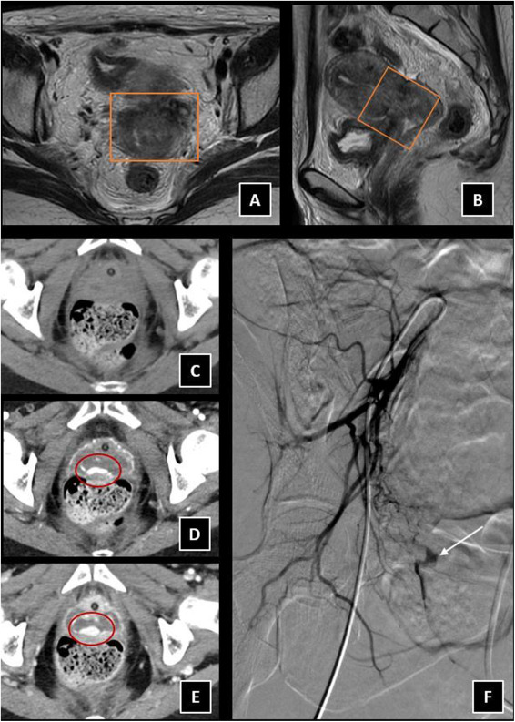 Elena Serrano tweet media