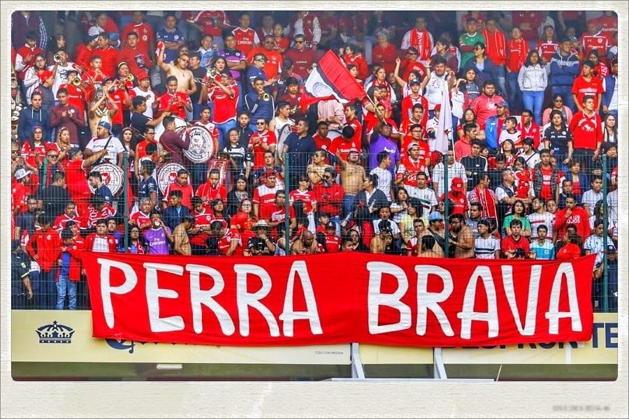 Akaereo's tweet photo. Esta final inédita del futbol mexicano entre @TolucaFC y @Tuzos tiene a dos de los grupos de animación más iconicos de las tribunas mexicanas, la #UltraTuza y la #PerraBrava, quienes a pesar de que la FMF mató el colorido, se han mantenido a pesar de las restricciones https://t.co/TA7wRs9MqD