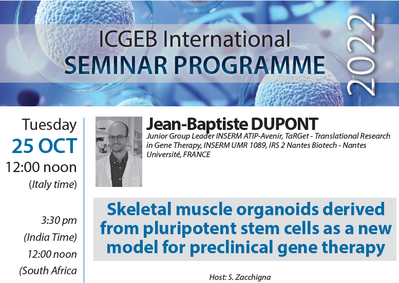#ICGEBseminar 25 Oct 2022 - #Jena_Baptiste_Dupont on Skeletal muscle organoids from pluripotent #stemcells as a new model for preclinical #genetherapy 👉 Info & Registration: seminars@icgeb.org