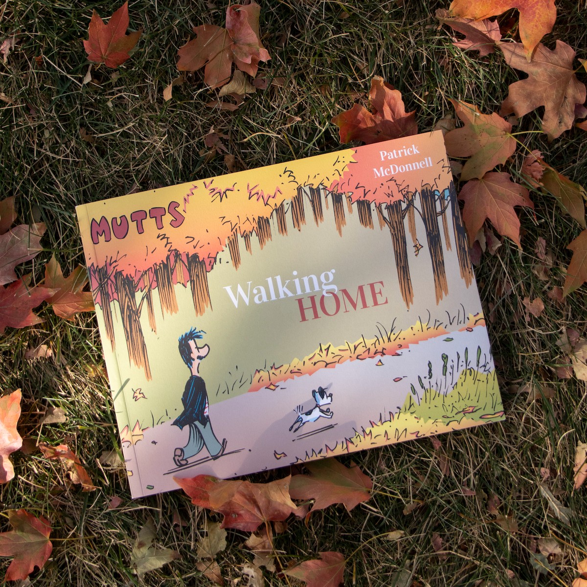 on Twitter "This beautifully illustrated and packaged