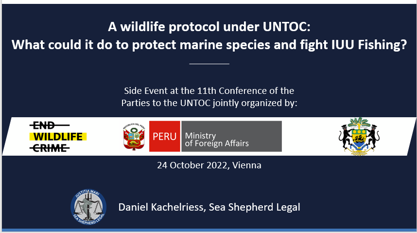 dkachelriess1's tweet photo. Great honour last week at @UNODC_UNTOC #CoP11 to talk about how a #wildlifecrime protocal under #UNTOC could contribute to combatting #IUUFishing at a side event co-hosted by the Initiative to #EndWildlifeCrime, #Gabon &amp; @PeruEnAustria. Recording here: https://t.co/d4UcFiYEtu https://t.co/qLT9PGHKhQ