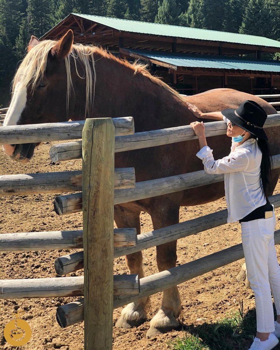 christyhuichat's tweet photo. If dogs are manβs best friend, then horses are manβs soulmates. In #FlyingFillies 12-year-old cowgirl Dawn Springfield keeps a diary of what makes a #PerfectHorse for her. Want to share thoughts on what makes your Perfect Horse? Use hashtag #PerfectHorse
#horses #horsequotes https://t.co/tSCtohetE5