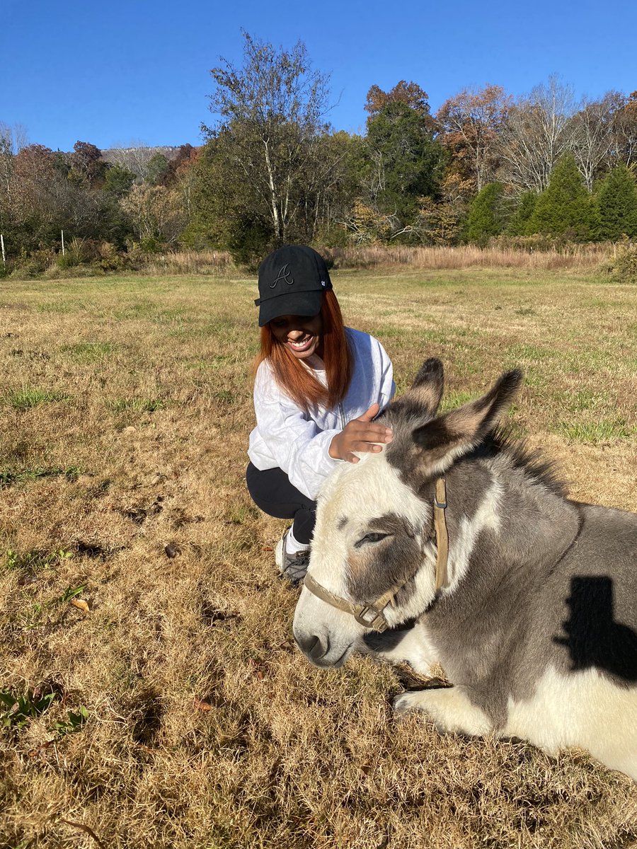 itssimplytali's tweet photo. In my happy place🐴 🌄 https://t.co/hrejsdkV3v