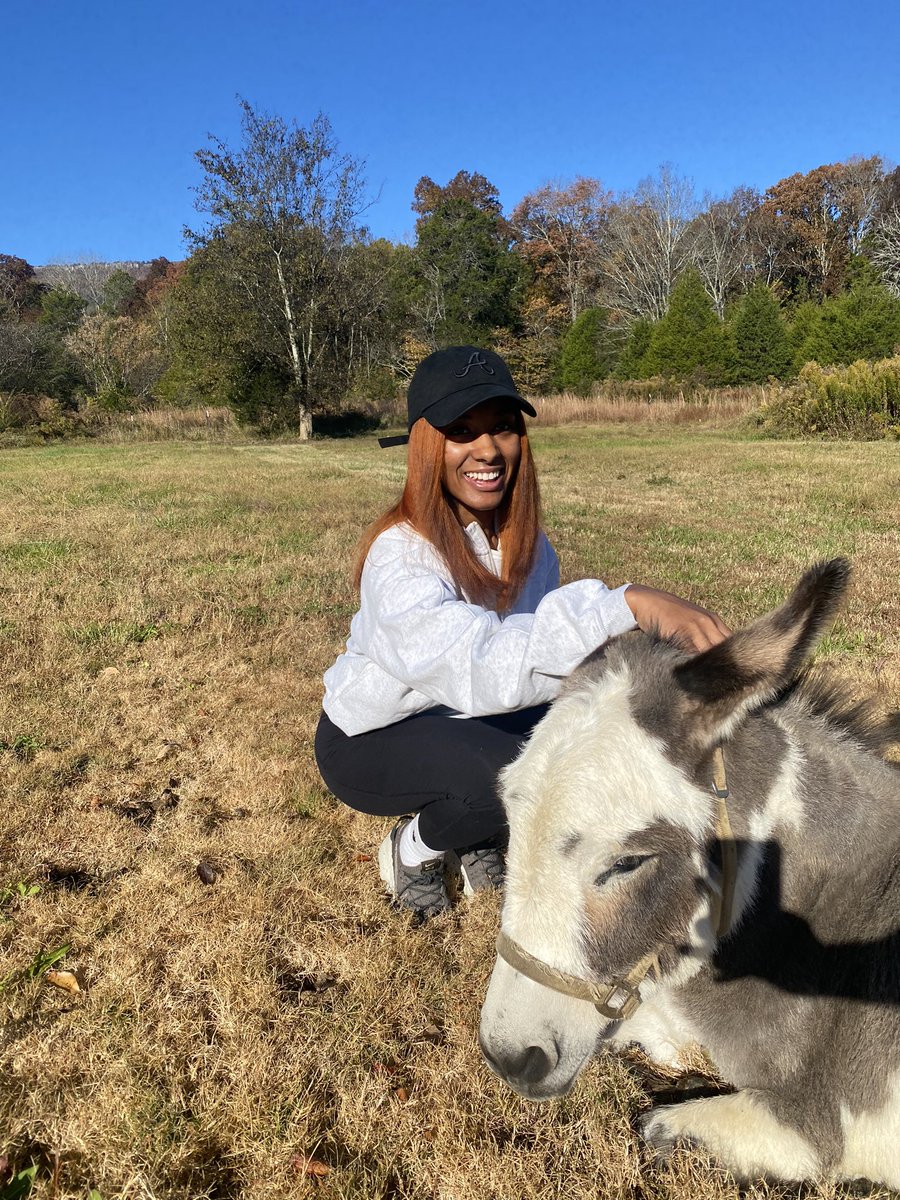 itssimplytali's tweet photo. In my happy place🐴 🌄 https://t.co/hrejsdkV3v