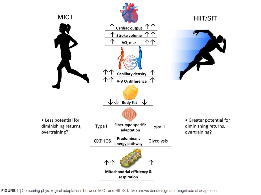 HIIT gives short term, fast improvement,

But the untold story is how you plateau quickly after this type of work.

And I see this regularly with individual and team sport squads I support,

But the research does not show this often because studies are short term.