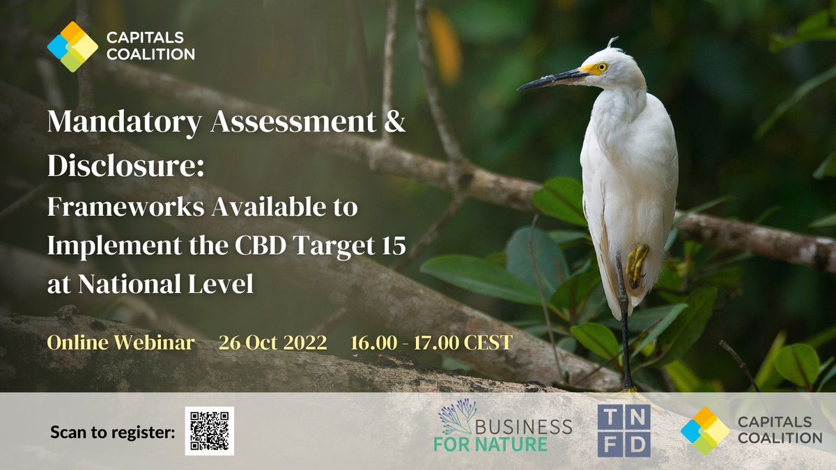 Ahead of #COP15, join us & @BfNCoalition's webinar The session will present the tools & methodologies which exist to implement mandatory assessment & disclosure on nature at a national level. 🗓️ 26 Oct, 4pm CEST Register 👉 ow.ly/MNzz50Lgeep