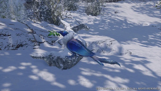 うわ!この鳥しっぽが足になってる! 