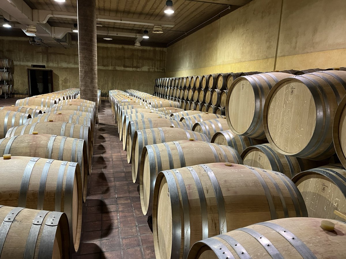 Doppo…. <a href="/tenutafanti/">TENUTA FANTI</a>  #RusticTuscanyTour #Tuscanvines <a href="/Vinofilosofia/">Ciro Pirone 🇮🇹🇺🇸🍷⚽️ Salerno</a> <a href="/talkavino/">Talk-a-Vino</a> <a href="/ConsBrunello/">Brunello Montalcino</a> <a href="/Constan70997526/">Sybarite</a> <a href="/AmauryCarrasco/">WiningJaguar</a> <a href="/CoastCabCritic/">Coastal Cab Critic</a> <a href="/stock_guy1/">VVV 🍷⚖️🇮🇱</a> <a href="/RealWineGuru/">#Wine Guru🍷</a> <a href="/nsgarn/">Nate Garn</a> <a href="/teej61/">Ramblin’ Medici</a> <a href="/teamhrc/">Chris Schmidt</a> <a href="/Liam3494/">Liam Mycroft</a> <a href="/SeagreenWench/">SeagreenWench</a> <a href="/lebonvinfr/">Le Bon Vin #inmyglass</a> <a href="/campochiarenti/">Campochiarenti 🇮🇹®</a> <a href="/eatalianwithrob/">Roberto Serra - Italian food recipes 🇺🇦🇮🇹</a>