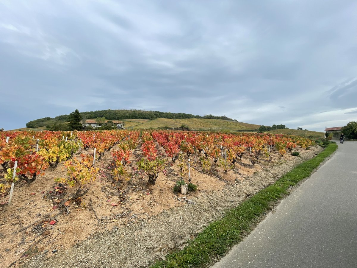 Christina Rasmussen she/her tweet media