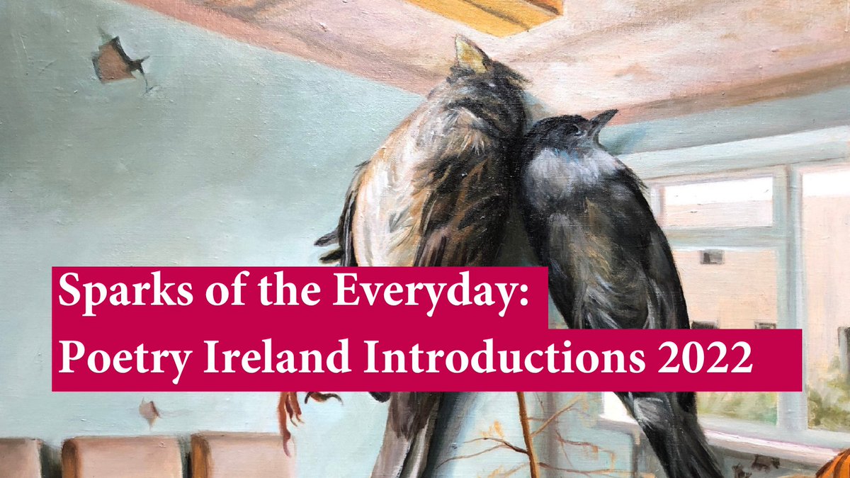 A new anthology featuring the very best of Ireland’s emerging poets as chosen by @Anthony1983 & Aifric Mac Aodha is launched today by #PoetryIreland Sparks of the Everyday: Poetry Ireland Introductions 2022 ⚡️ Free until Fri 28 Oct: ⬇️ ed.gr/ecf8n