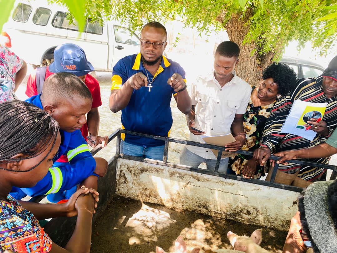 CaptainTux's tweet photo. #Farming for #Resilience. 

#Oniipa #Pig Farming Training That Was. 💪

#DeLANamibia
#TheLocalPigButchery 
#PigProduction https://t.co/7HN9CQLSpw