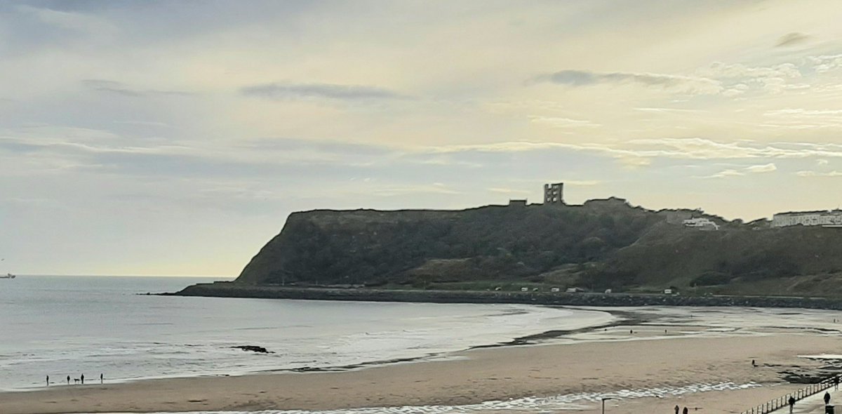 Theresa Baxter tweet media