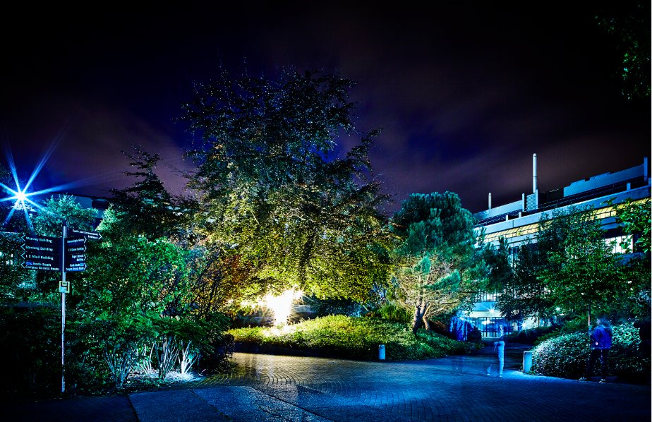 University of Leeds (@universityleeds) on Twitter photo We hope that all those who are celebrating have a very happy #Diwali!
Wishing you peace and happiness for the next year to come ✨ We hope that all those who are celebrating have a very happy #Diwali!
Wishing you peace and happiness for the next year to come ✨