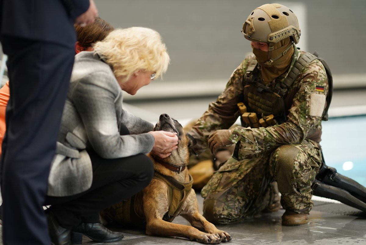 Die Diensthunde des #KSK begleiten die #Spezialkräfte, wann immer es nötig ist. Durch ihre spezielle Ausbildung sind sie eine wichtige Unterstützung bei der Auftragserfüllung. Ihre taktische Überlegenheit: Geruchssinn und Schnelligkeit.