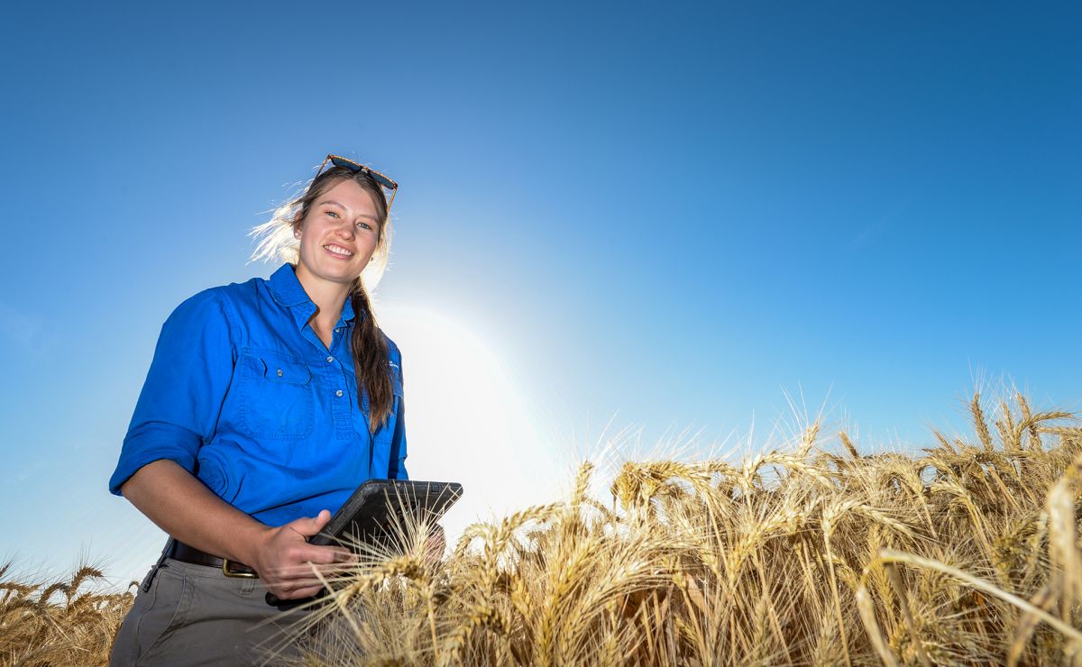 📢🎓 Applications now open for GRDC Research Scholarships! A GRS supports PhD candidates conducting research relevant to the Australian #grains industry. Applications close Tues 6 Dec, visit our website for more information: bit.ly/3VYFb9h 📷: Nicole Baxter