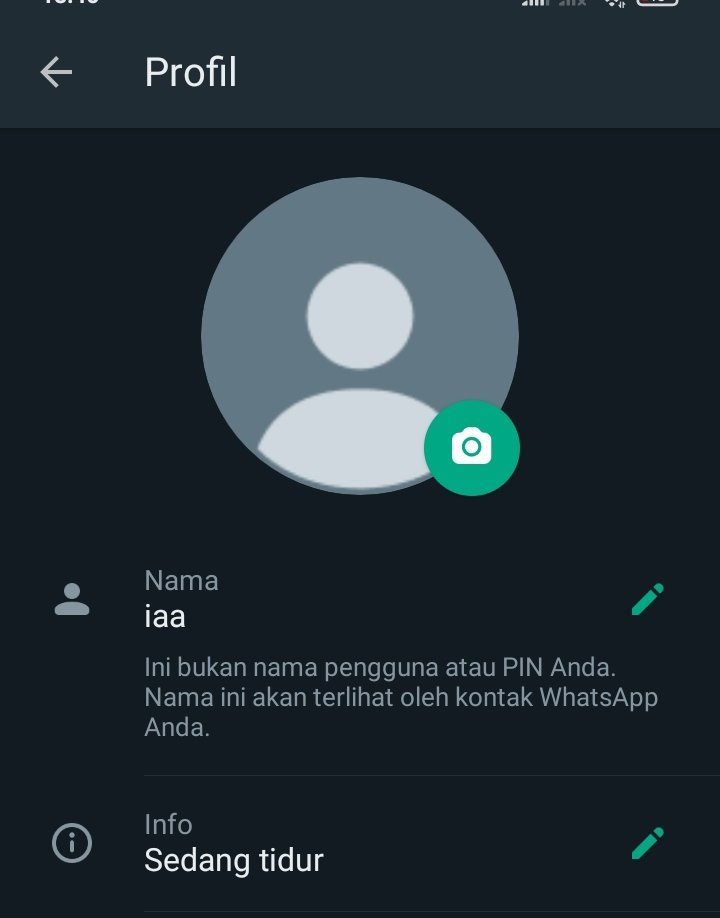 iara tweet media