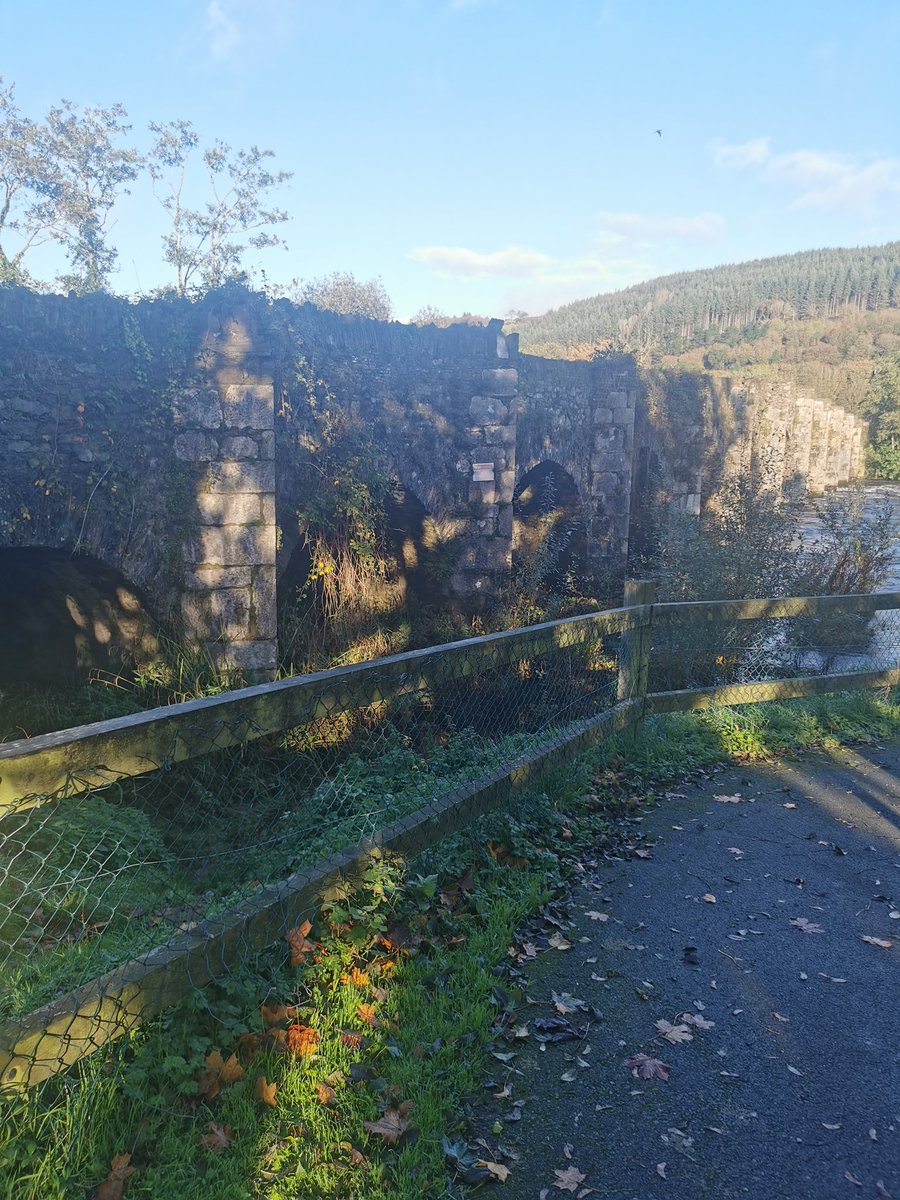 macpLB's tweet image. Ballincollig Regional Park looked great this morning. The Lee had a fairly robust flow over the broken weir. You'd wish the council would fix it.