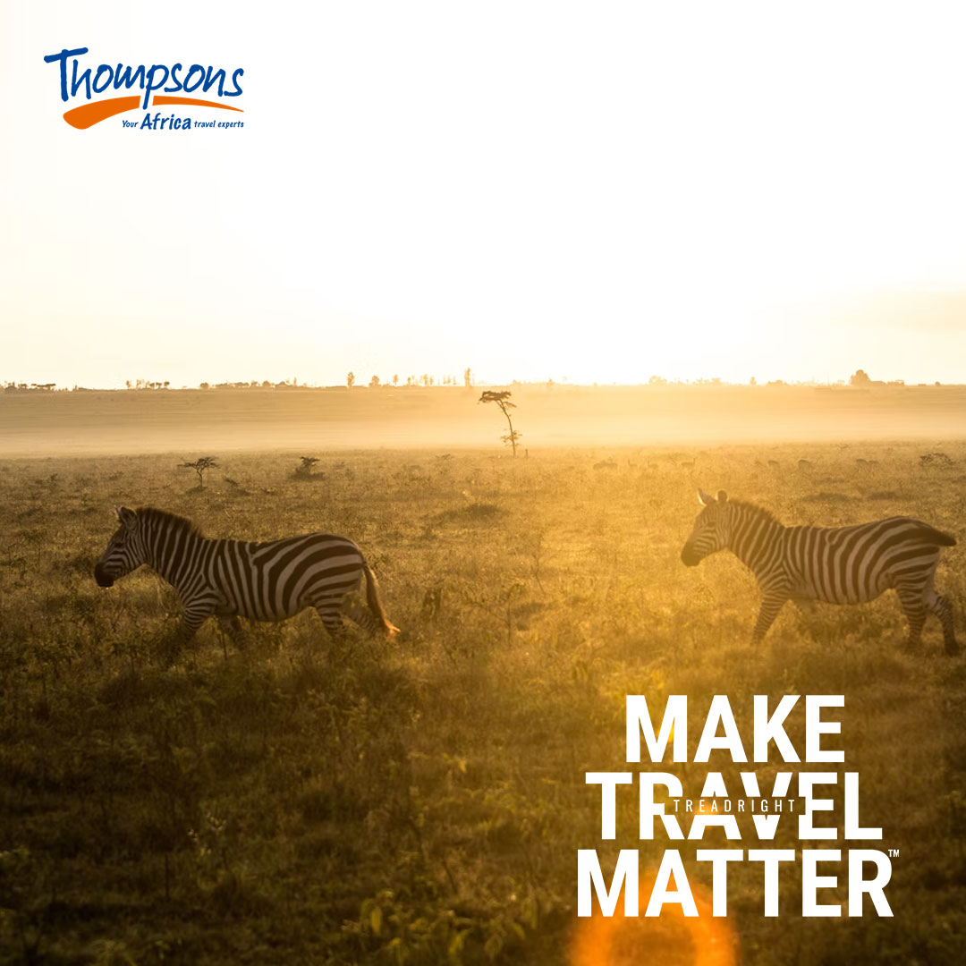 ThompsonsAfrica's tweet image. If you've wanted to know how you can effectively become a more responsible traveller, we encourage you to use the following checklist, developed by TreadRight.

Download now: treadright.org/checklist/

#sustainabletravel #responsibletravel #treadright #checklist #thompsonsafrica