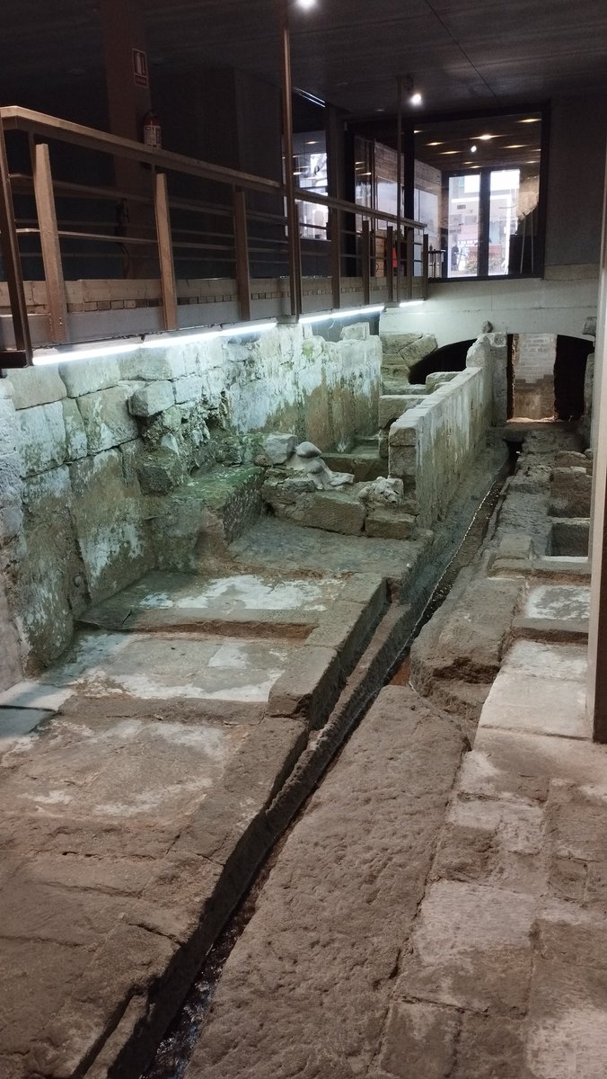 xmtlla's tweet photo. Avui celebrem el #MuseumWorkersDay amb els treballadors i treballadores dels museus de la #xmtlla. El @MuseuMorera ens ha mostrat les obres del nou museu i les restes de les adoberies. Ara, al @museudelleida, fem una activitat al voltant de la relectura d'obres en clau de gènere. https://t.co/97m73vyVTB