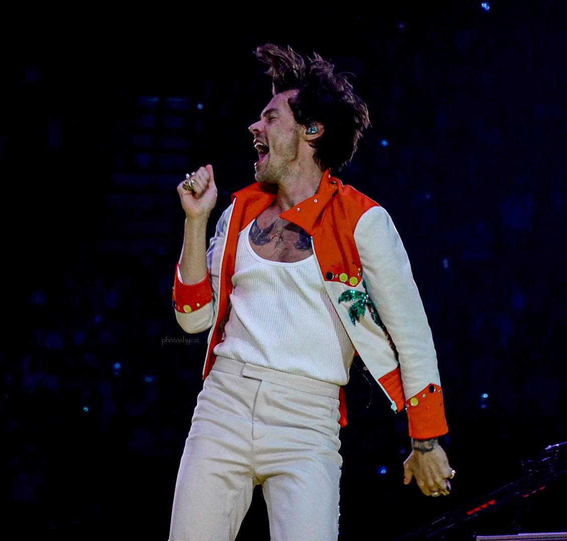 lizzzz63's tweet photo. Harry styles vc n ouse chegar perto de uma tesoura vc tá me ouvindo? VOCÊ TA ME OUVINDO PORRA? https://t.co/rhoKwWThRd