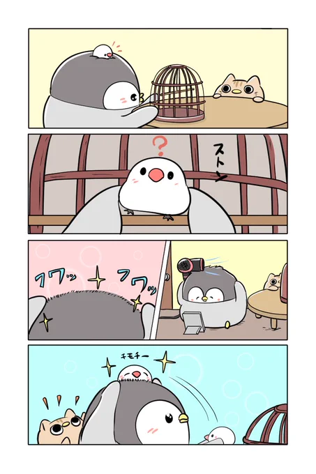 ちゃんぺんと文鳥さん
「もふもふ特等席」
#文鳥の日 