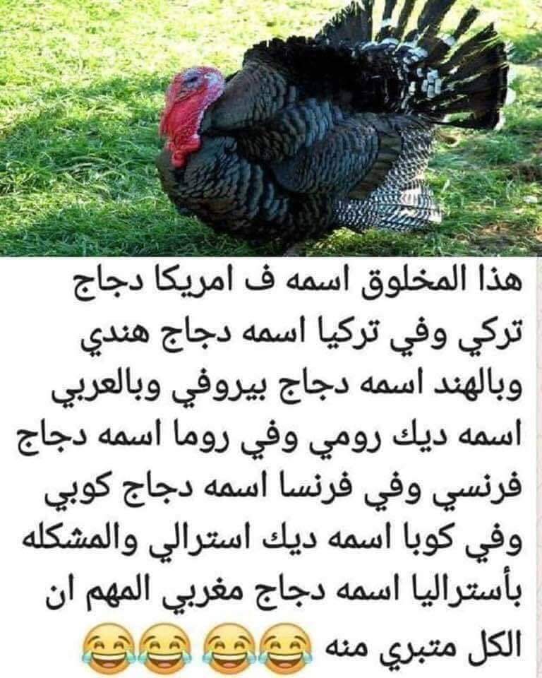 ربيع الحداد (@alhdad_rby) on Twitter photo 