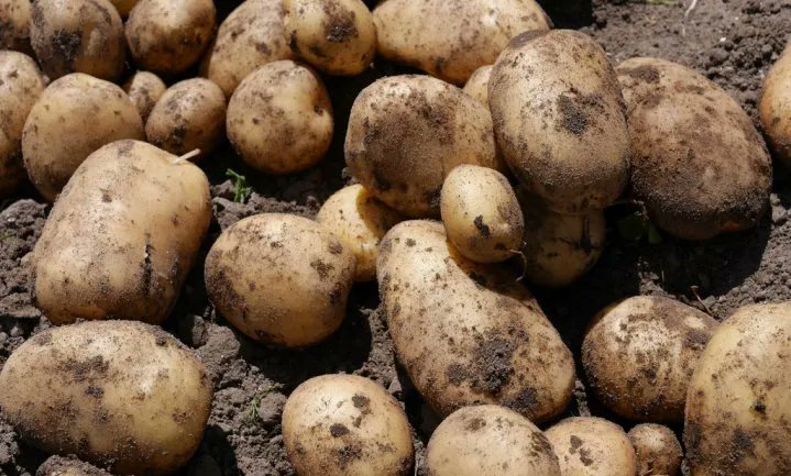 foodlog_nl's tweet photo. Wat is vers? Vers is een woord voor verwende mensen #watis #watisvers
https://t.co/QY2RChpaW6 https://t.co/DFMXOpng8K