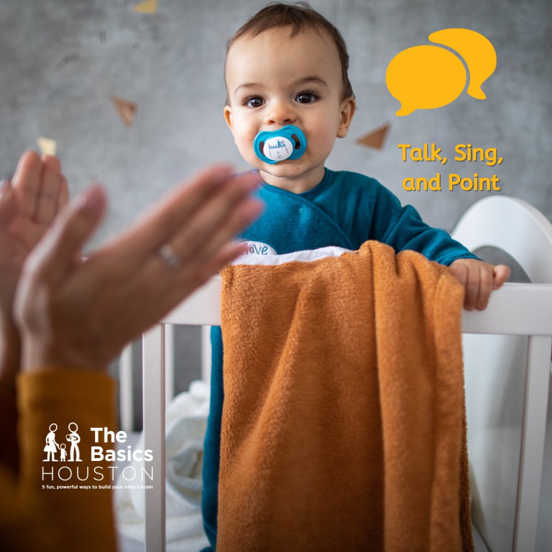 The Basics Houston tweet media