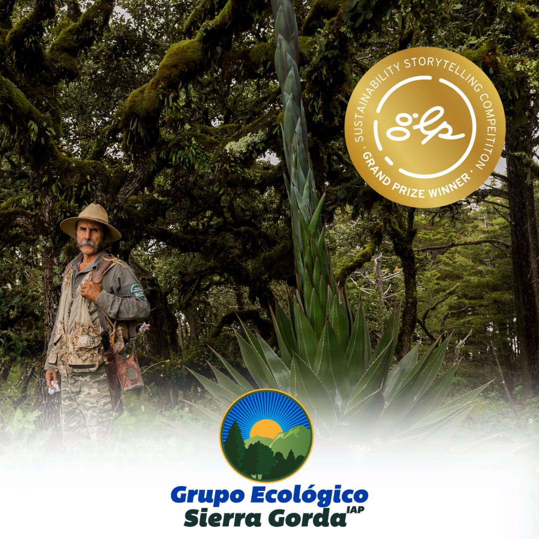 Planeterra tweet media