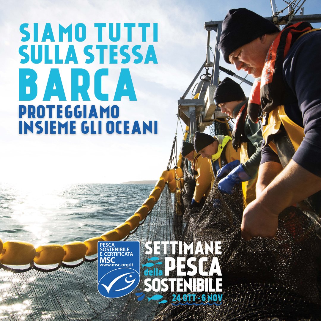 Le Settimane della pesca sostenibile sono appena iniziate e in questi giorni, più che mai, è il momento di stare tutti #sullastessabarca per far sì che le nostre risorse ittiche siano in salute anche per le generazioni future! #tienidocchioilblu
msc.org/it/settimane-d…