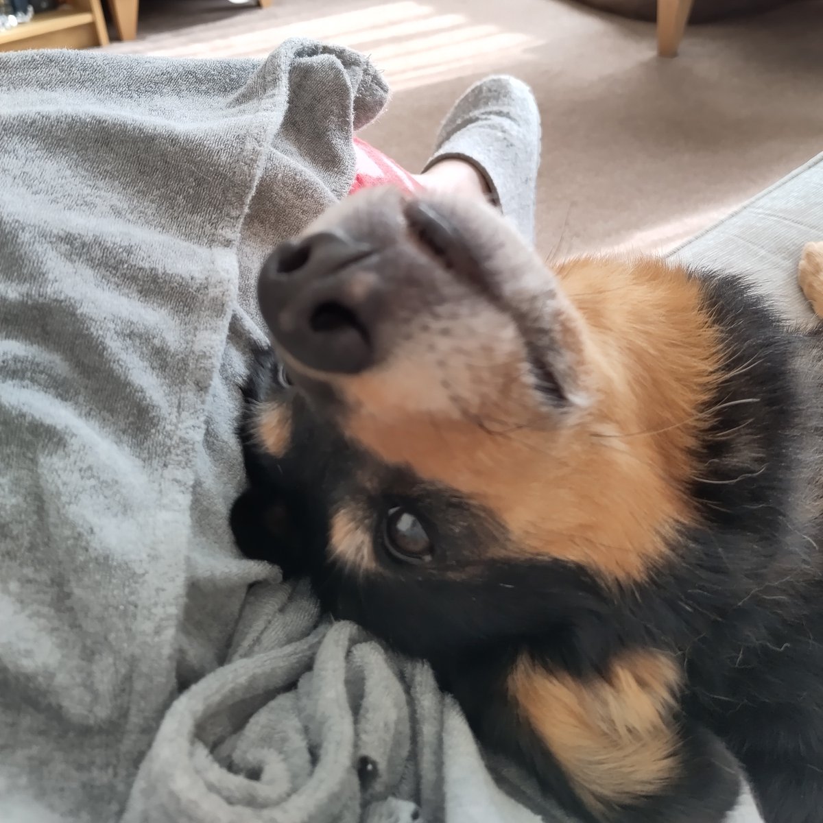 Helen Tucker tweet media